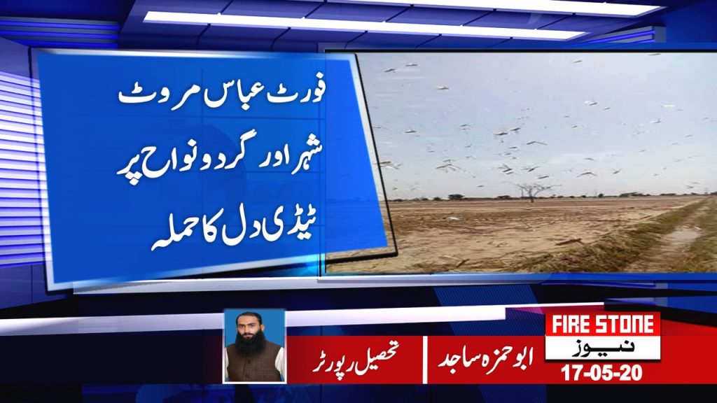 فورٹ عباس مروٹ شہر اور گردو نواح پر ٹیڈی دل کا حملہ