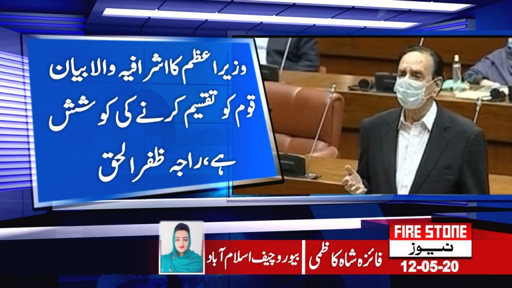 وزیراعظم کا اشرافیہ والا بیان قوم کو تقسیم کرنے کی کوشش ہے، راجہ ظفر الحق