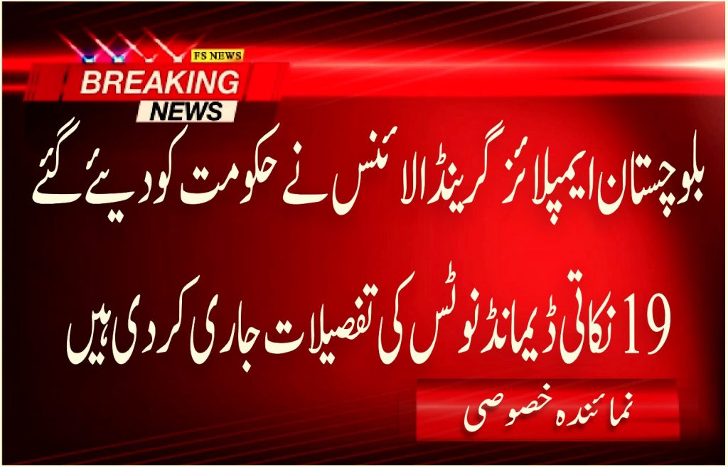 بلوچستان ایمپلائز گرینڈ الائنس نے حکومت کو دیئے گئے 19 نکاتی ڈیمانڈ نوٹس کی تفصیلات جاری کردی ہیں