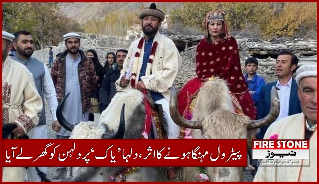 پیٹرول مہنگا ہونے کا اثر، دلہا ’یاک‘ پر دلہن کو گھر لے آیا